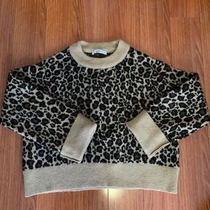 Zara boxy cheetah print sweater.